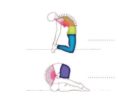 IFY - Le Corps en yoga à la lumière de l’anatomie – Entretien