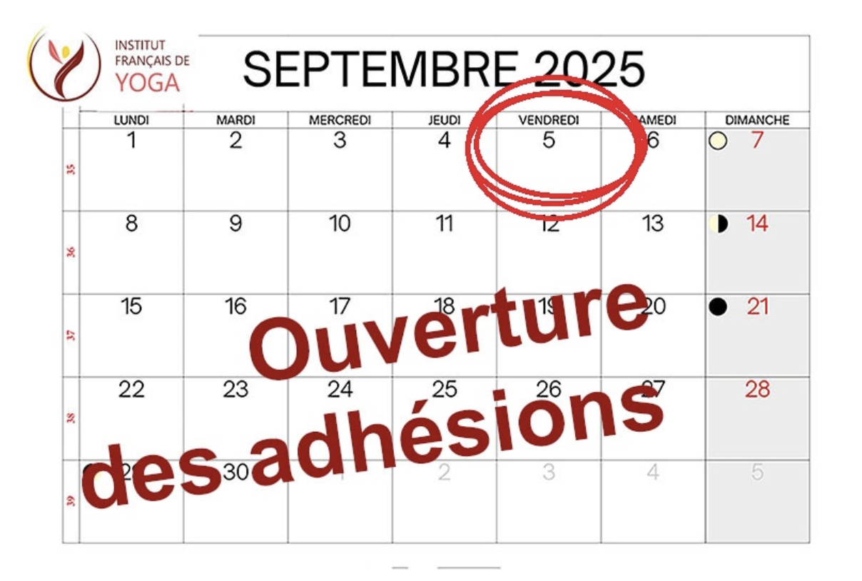 IFY - Rentrée 2025-2026