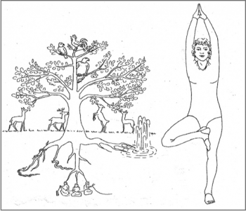 IFY - Que nous disent les postures de yoga ?