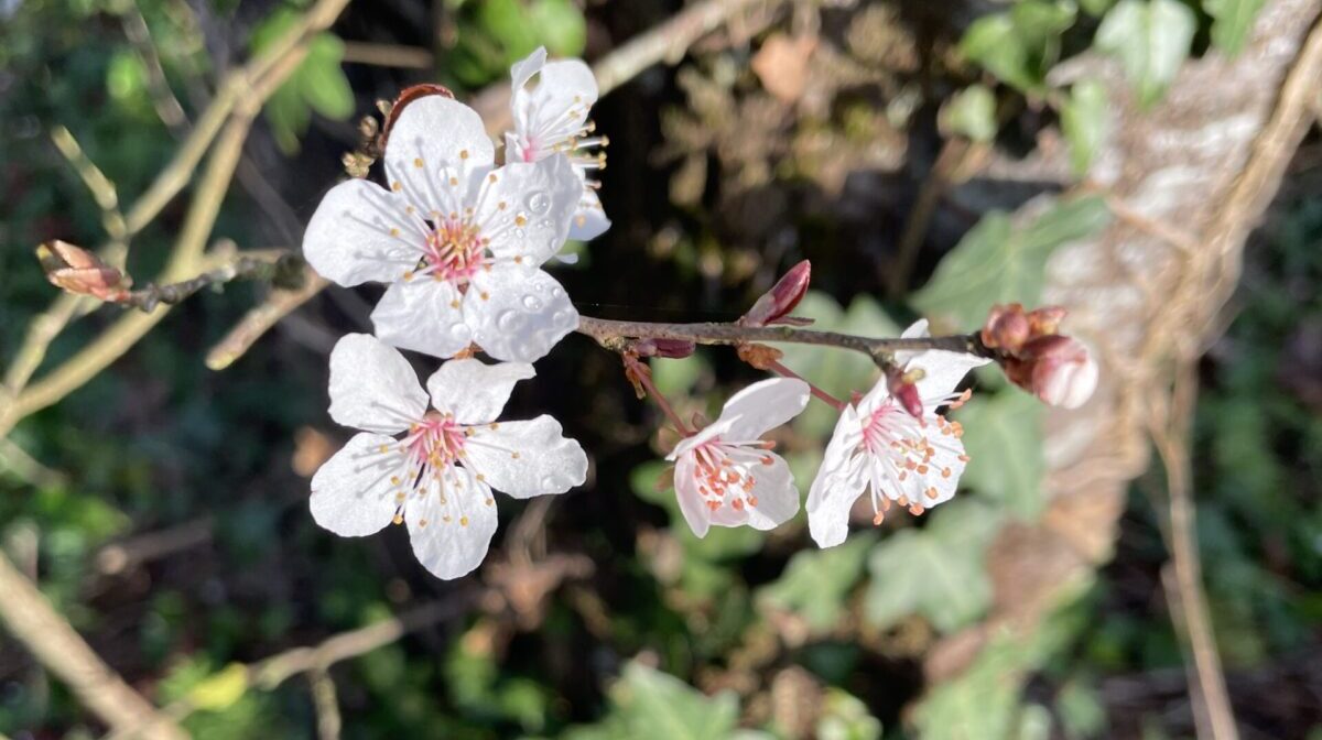 IFY - Qu&rsquo;est-ce qui me fait sentir vivante ?