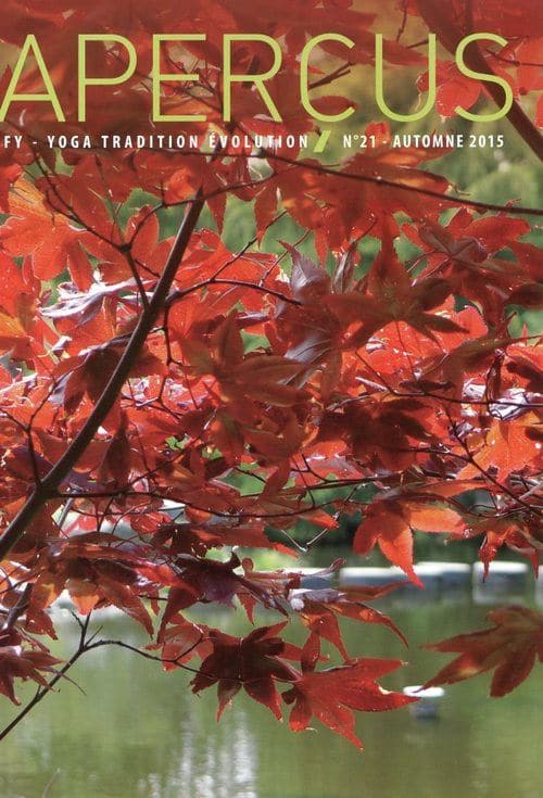 IFY - Aperçus n°21 – Automne 2015