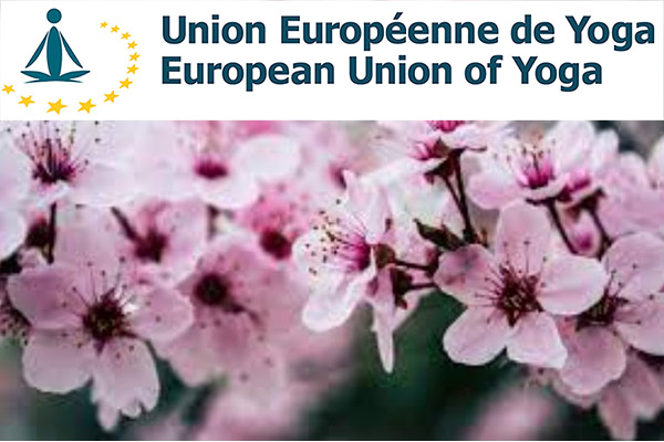 IFY - U.E.Y : programme des conférences du mois de mai 2023