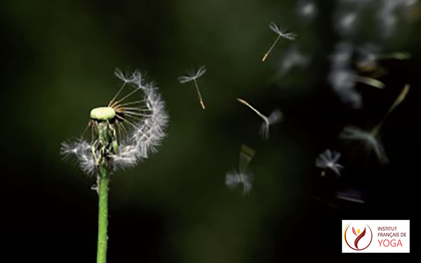 IFY - Ayurveda et mental