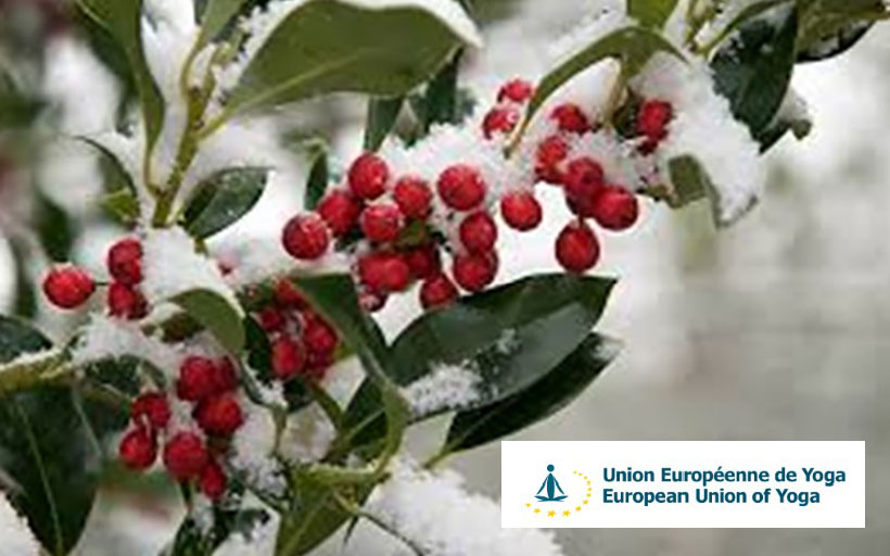 IFY - UEY : Programme de janvier 2026